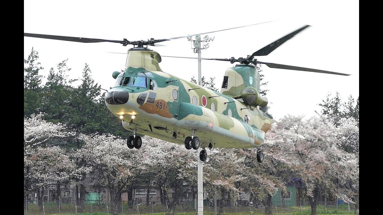 桜吹雪の中　陸海空自衛隊ヘリコプターが着陸＆離陸　C-1輸送機の航過展示