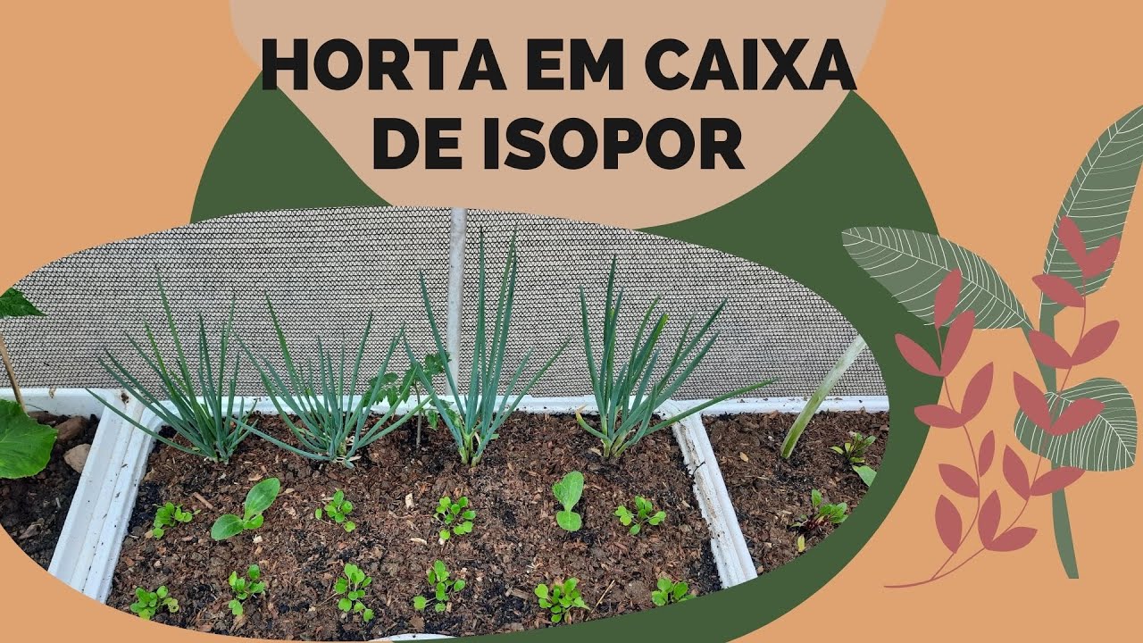 PLANTANDO EM CAIXAS DE ISOPOR • PRINCÍPIOS DO HUGELKULTUR