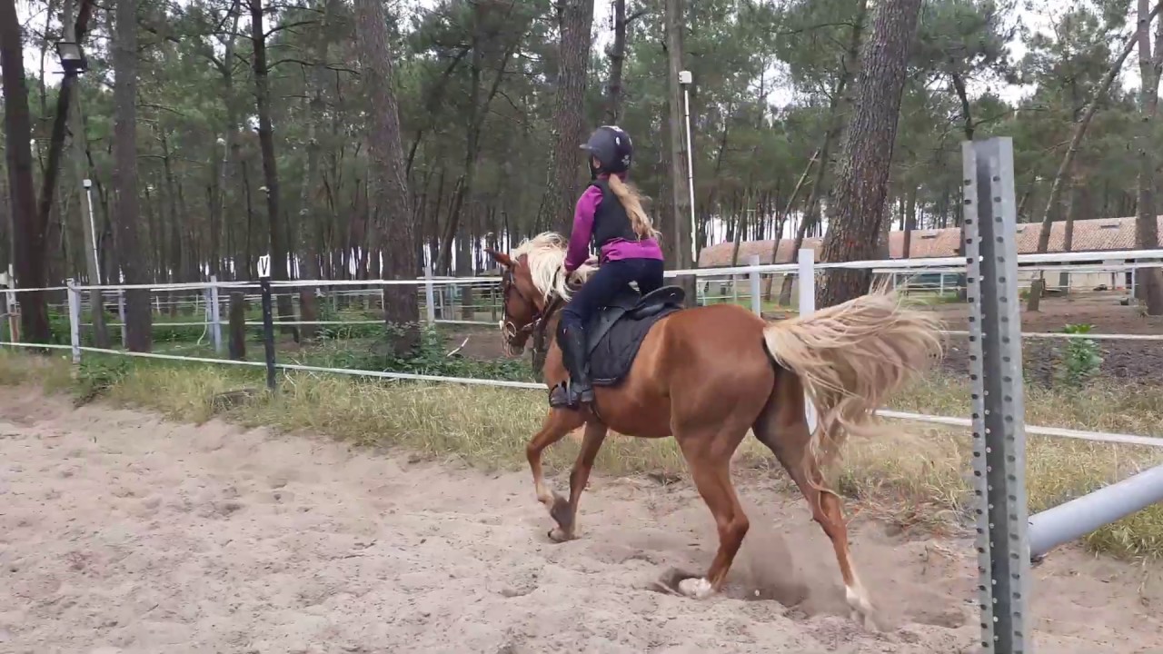 23/05/20 Galops 2/3 travail sur un obstacle
