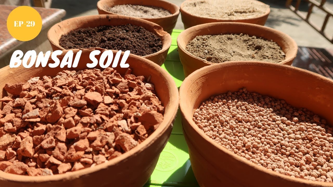 How to Make Bonsai soil |  Bonsai Soil Making Tips Step by Step | India Bonsai Soil Mix
