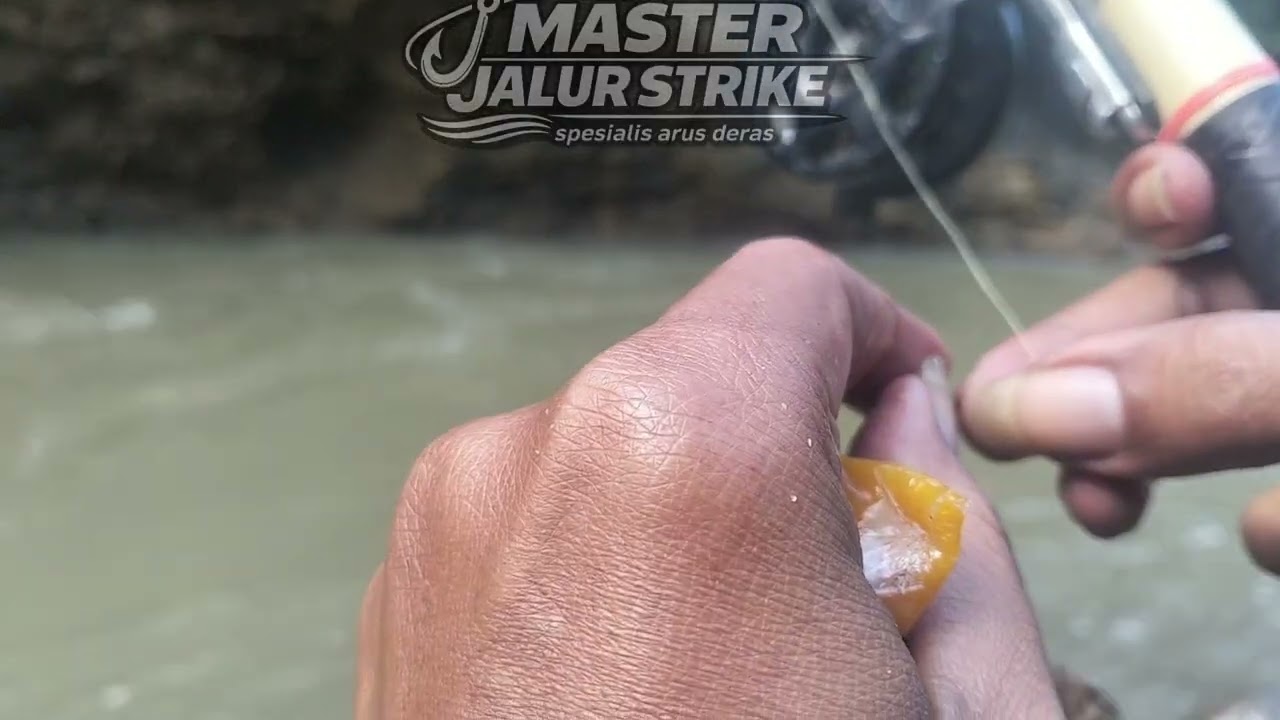 Panen babon gacor dari awal sampai ahir #fishing #mancing #mancingmantap #mancingmania #funny 