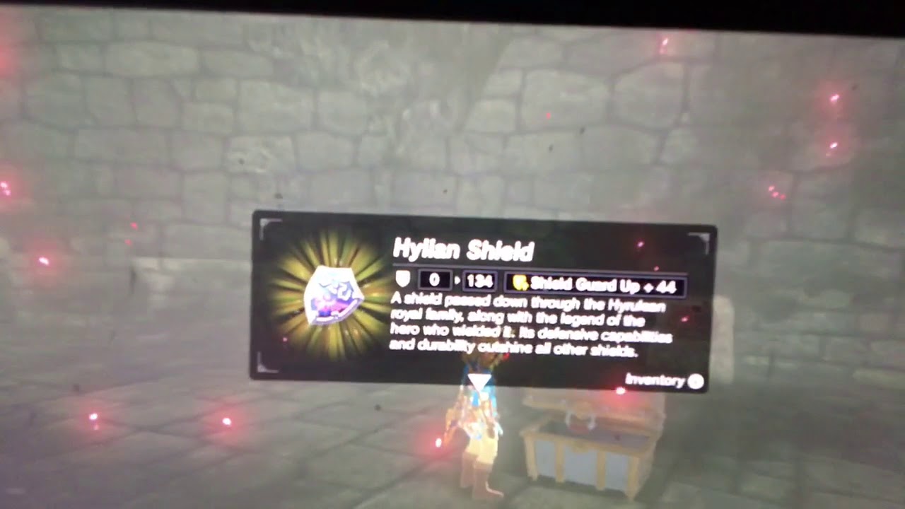 Look at my Hylian Shield!