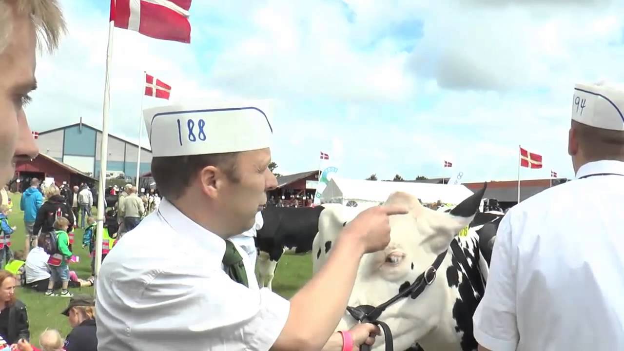 TV Horsens - Horsens Dyrskue 2014
