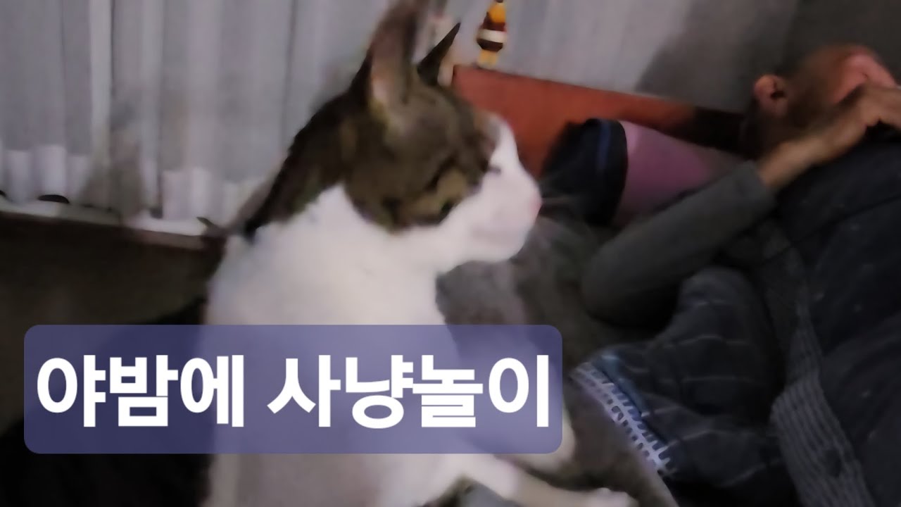 애들이 안자요 ㅎㅎ