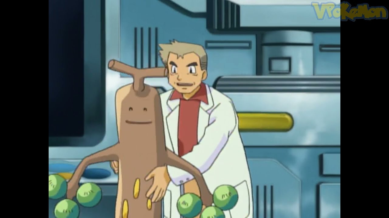 Sudowoodo attacks Professor Oak | Professor Oak Funny Moments