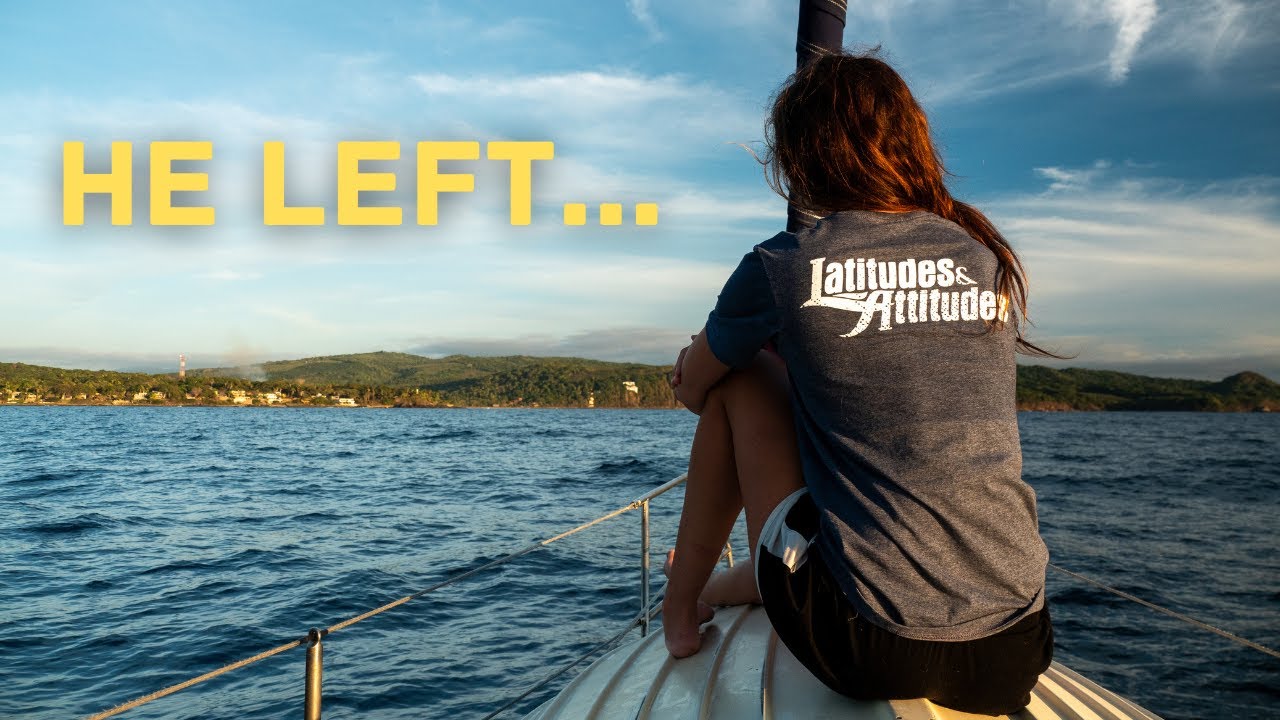 Я пришёл домой… а его уже не было | Sailing Avocet
