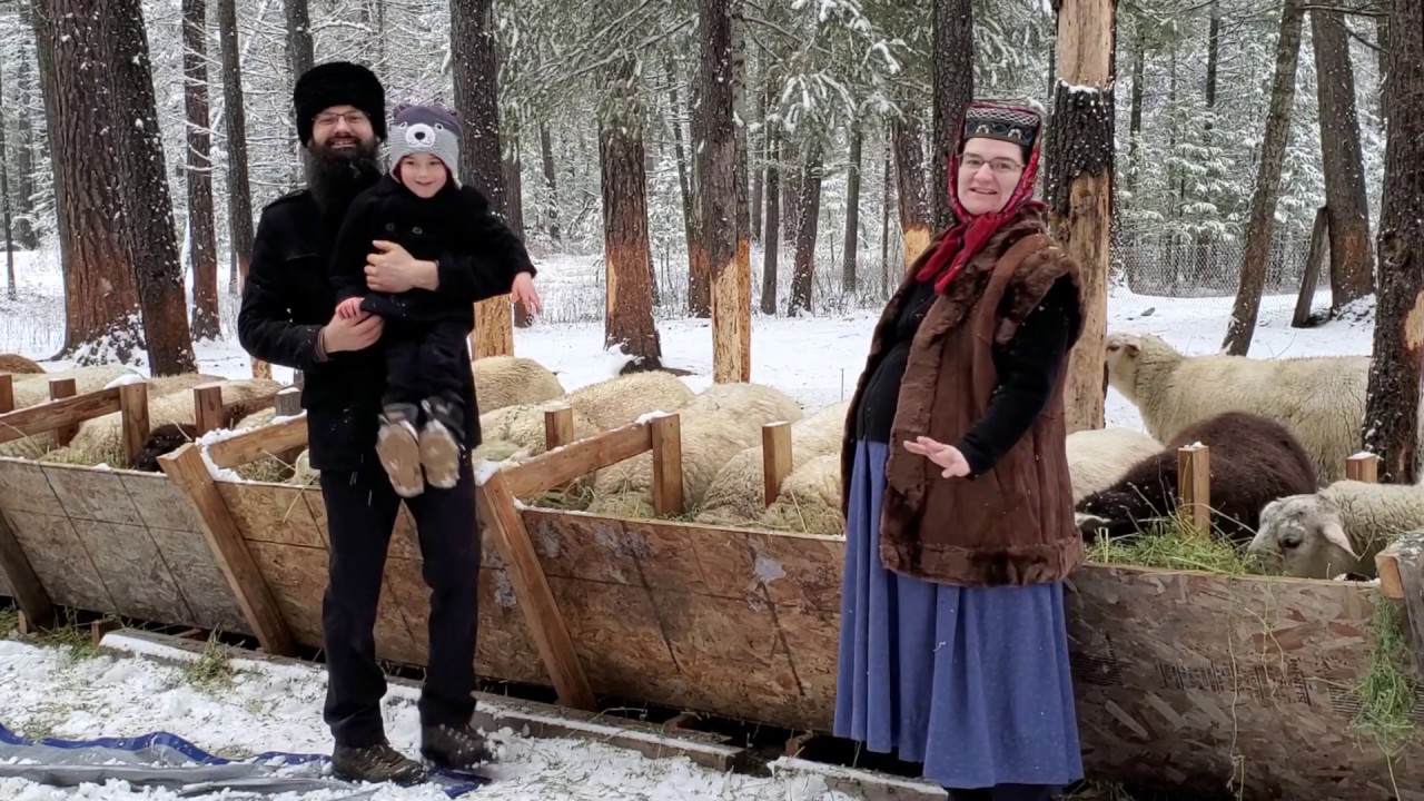 Nomad Shepherd: An Introduction to Our Sheep Farm of East Friesian and Romanov Sheep