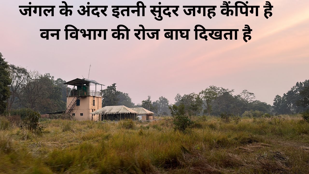 जंगल के अंदर इतनी सुंदर जगह कैंपिंग है वन विभाग की रोज बाघ दिखता है