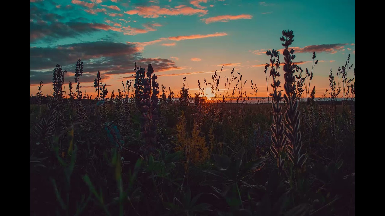 | 5hr Relaxing Sounds | - Nature Field Ambient