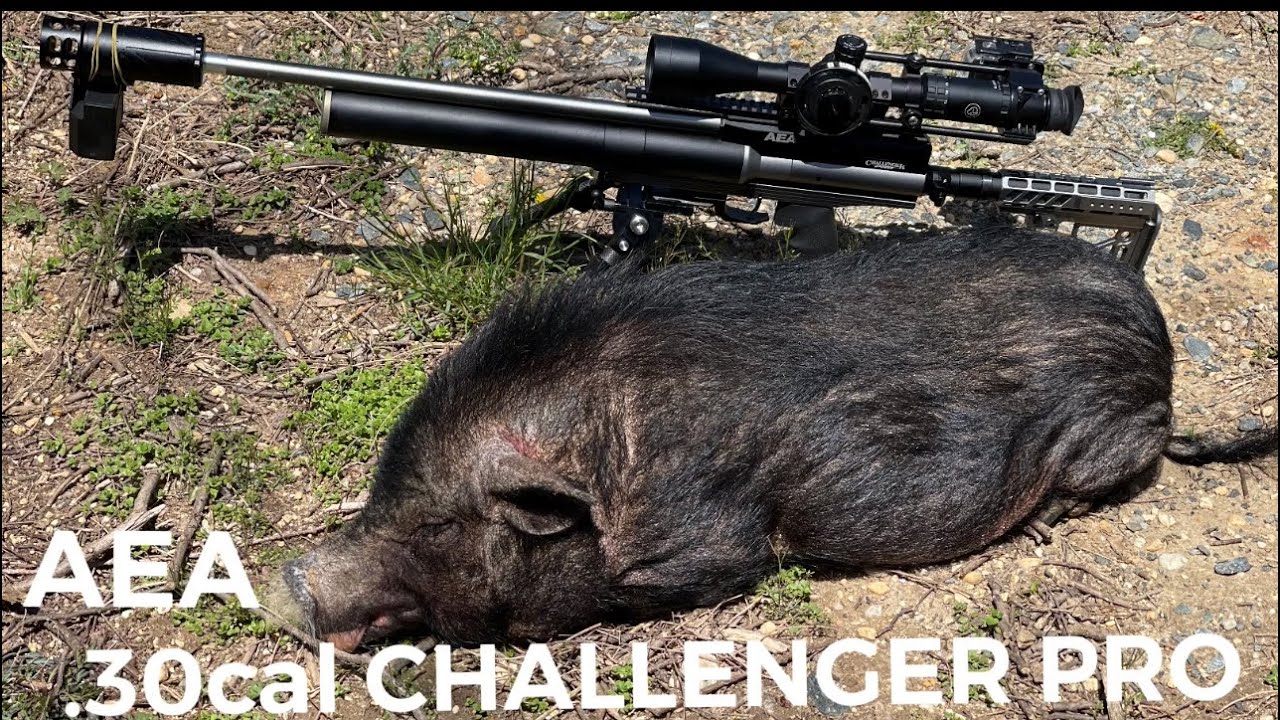 30 cal challenger pro new hunting gun￼