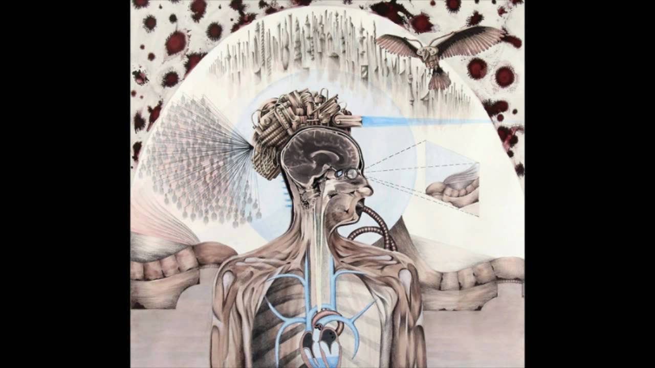 Dan Wallace - Odd Man Out
