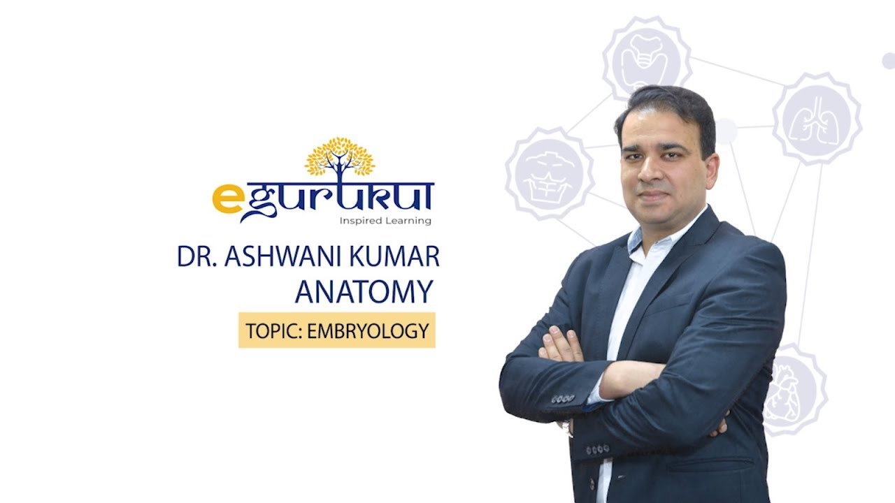 Embryology | Anatomy by Dr. Ashwani Kumar | Dr. Bhatia videos | DBMCI |