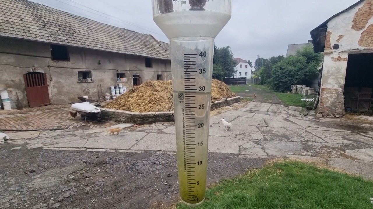 Spadło prawie 30 litr&oacute;w deszczu na metr/ warzywniak i Himalaje gnoju