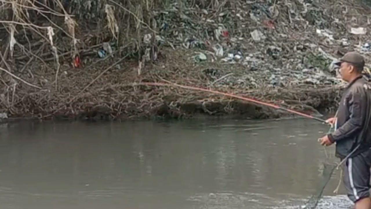 MANCING KEPEK TEKNIK NYEMPLUNG 