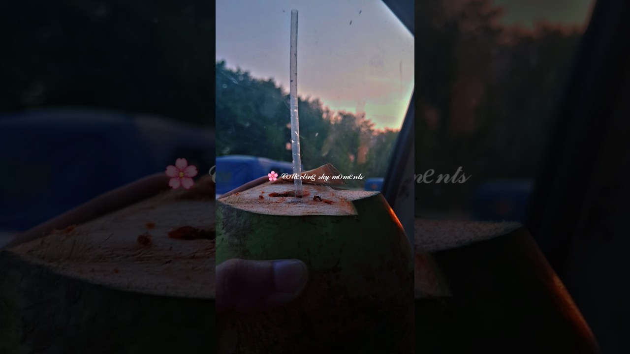 A Day with me 🌴 