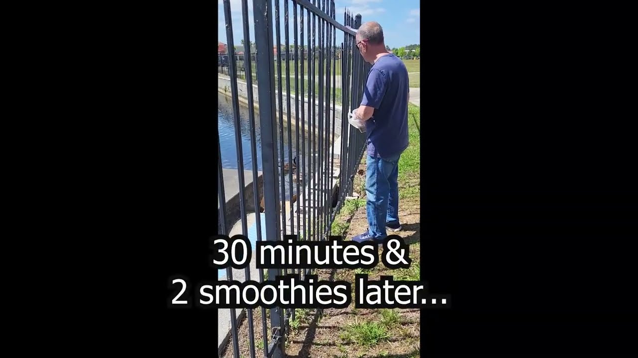The Great Goose Rescue SHORT VERSION