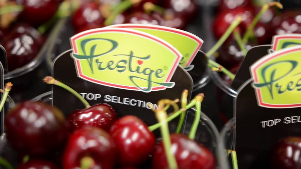 Fruitmasters start het Hollandse kleinfruitseizoen culinair