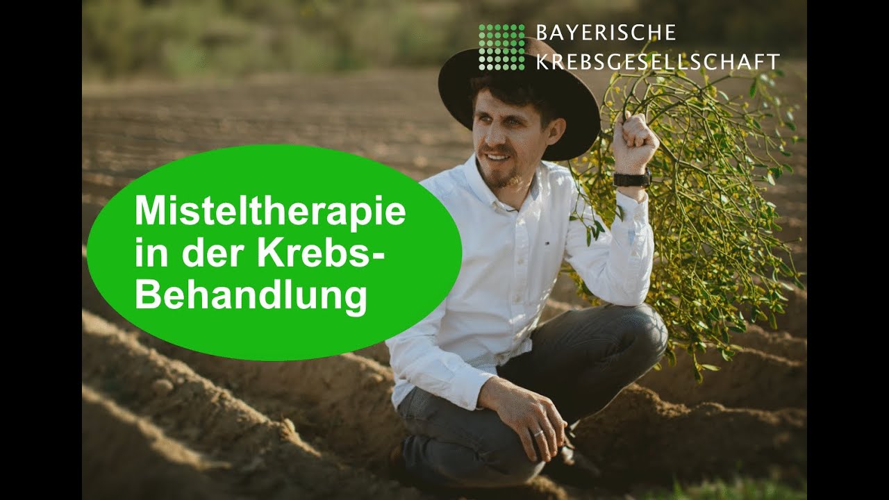 Misteltherapie in der onkologischen Therapie &ndash; eine sinnvolle Erg&auml;nzung