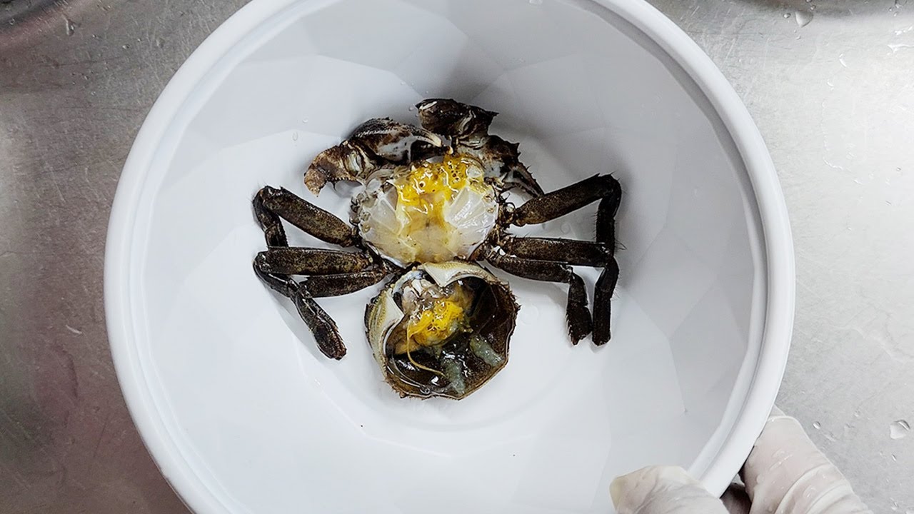 매운탕이 그렇게 맛있다며?동남참게 직접 잡아서 끓여봤습니다… 결과는? 😅