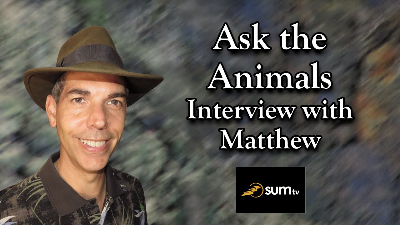 Ask the Animals: Interview with Matthew