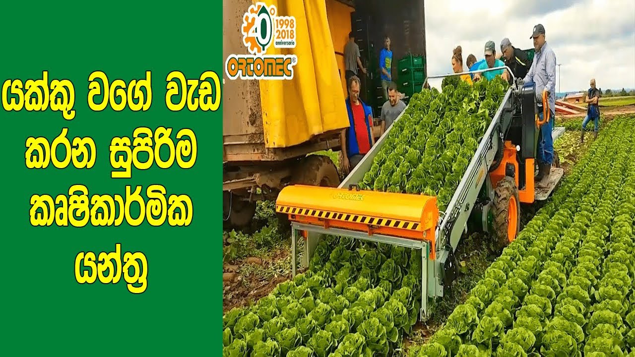 යක්කු වගේ වැඩ කරන ඔබ ඇස් දෙකට දැකලා නැති කෘෂිකාර්මික යන්ත්‍ර 7ක් මෙන්න | Satisfying Farming Machines