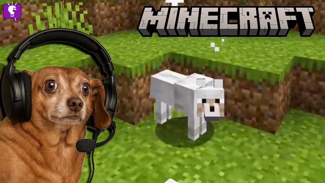 Minecraft with FlappyGamer102 on HobbyFamilyTV