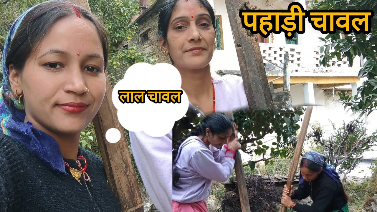 पहाड़ी लाल चावल कूटने की तैयारी।। दीदी के लिये।। #pahadilifestylevlog 
