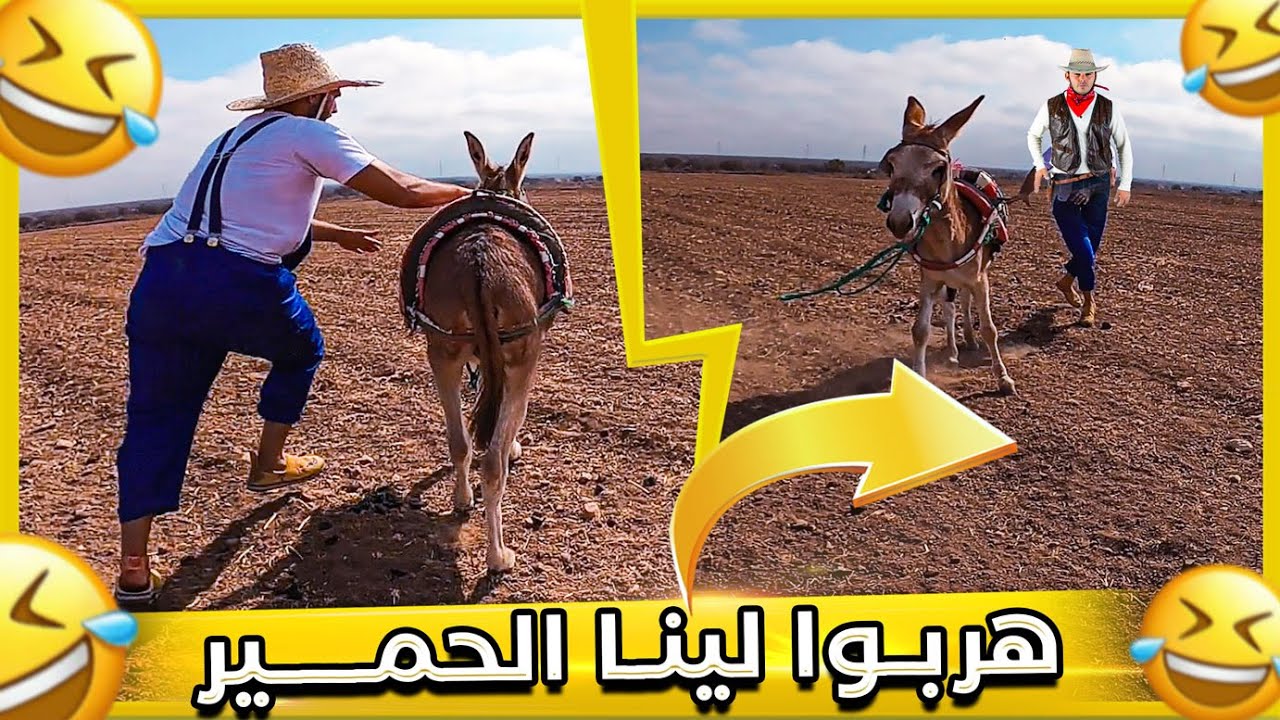 هربو لينا الحمير وسط الطريق.. الدراري عوتاني بغاو اكملو بالطاكسي