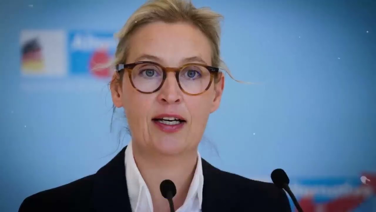Verfassungs Gericht zerlegt Merz. Ukraine Fonds illegal / von Kanal Politische Linien 