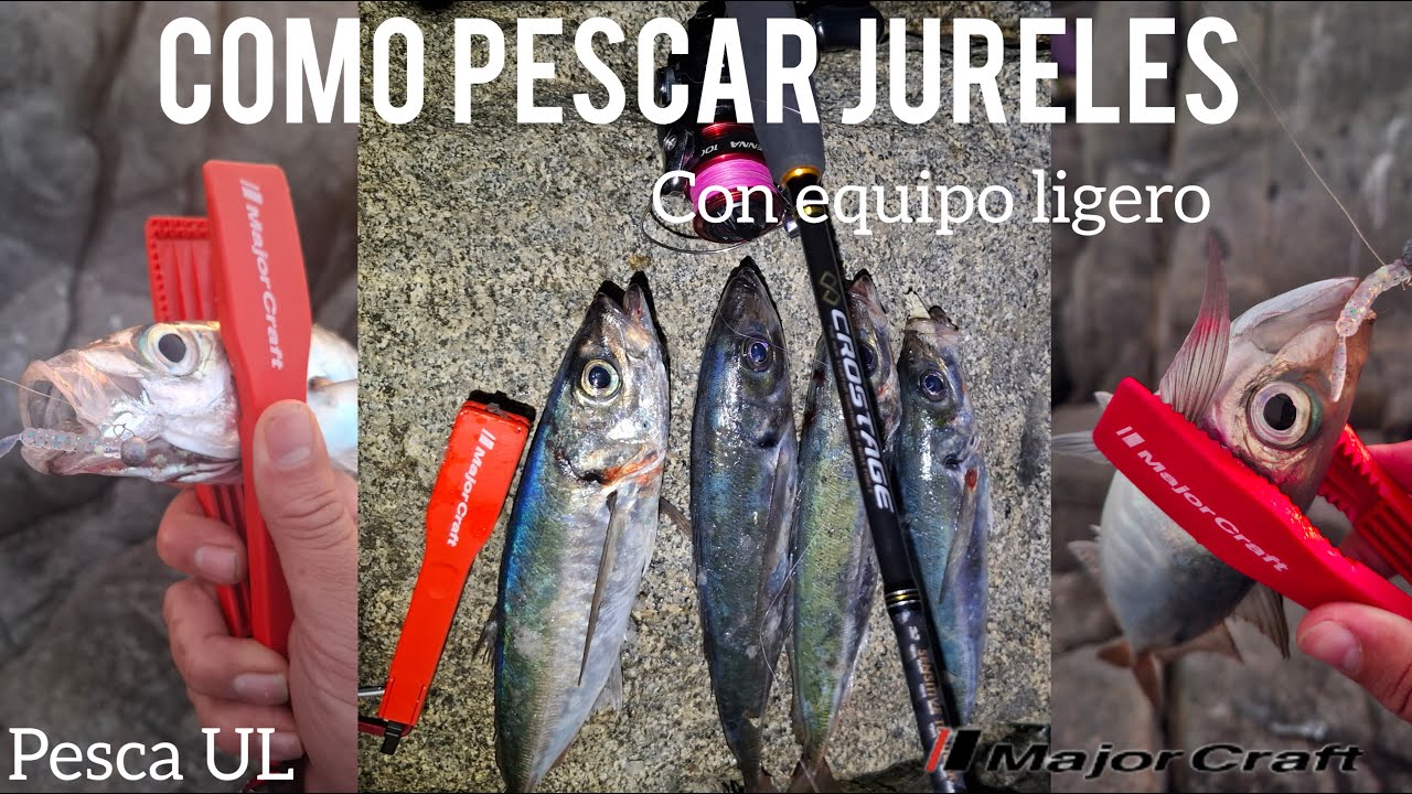 Como Pescar Jureles , Pesca Ligera , Rockfishing ,ajing , pesca ul アジ釣り、ライトフィッシング majorcraft candoll