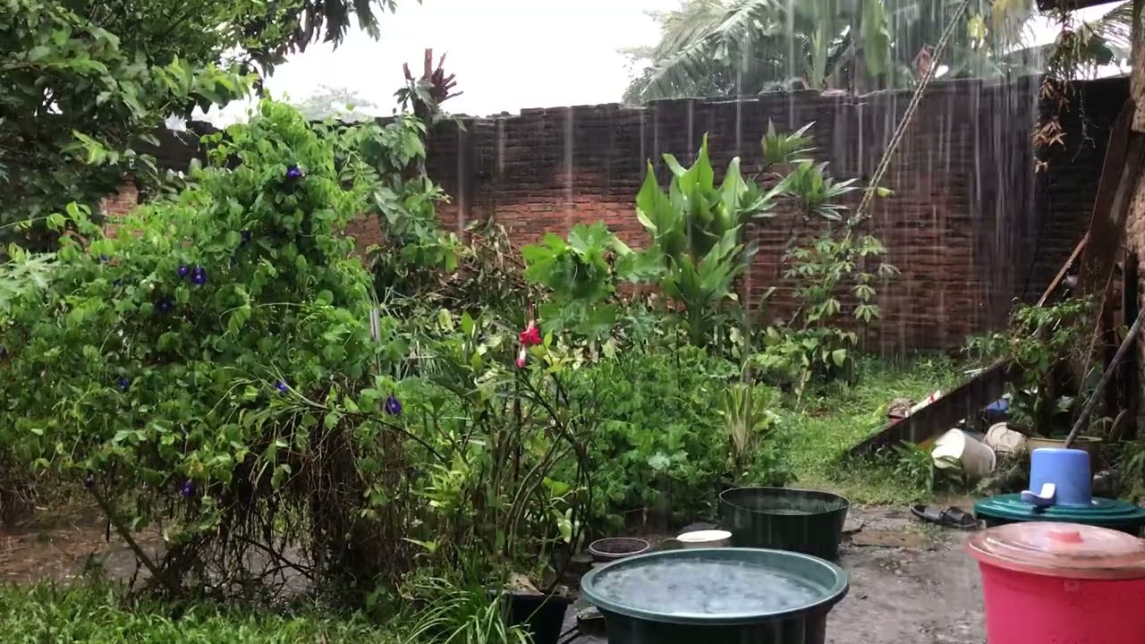 heavy rain  