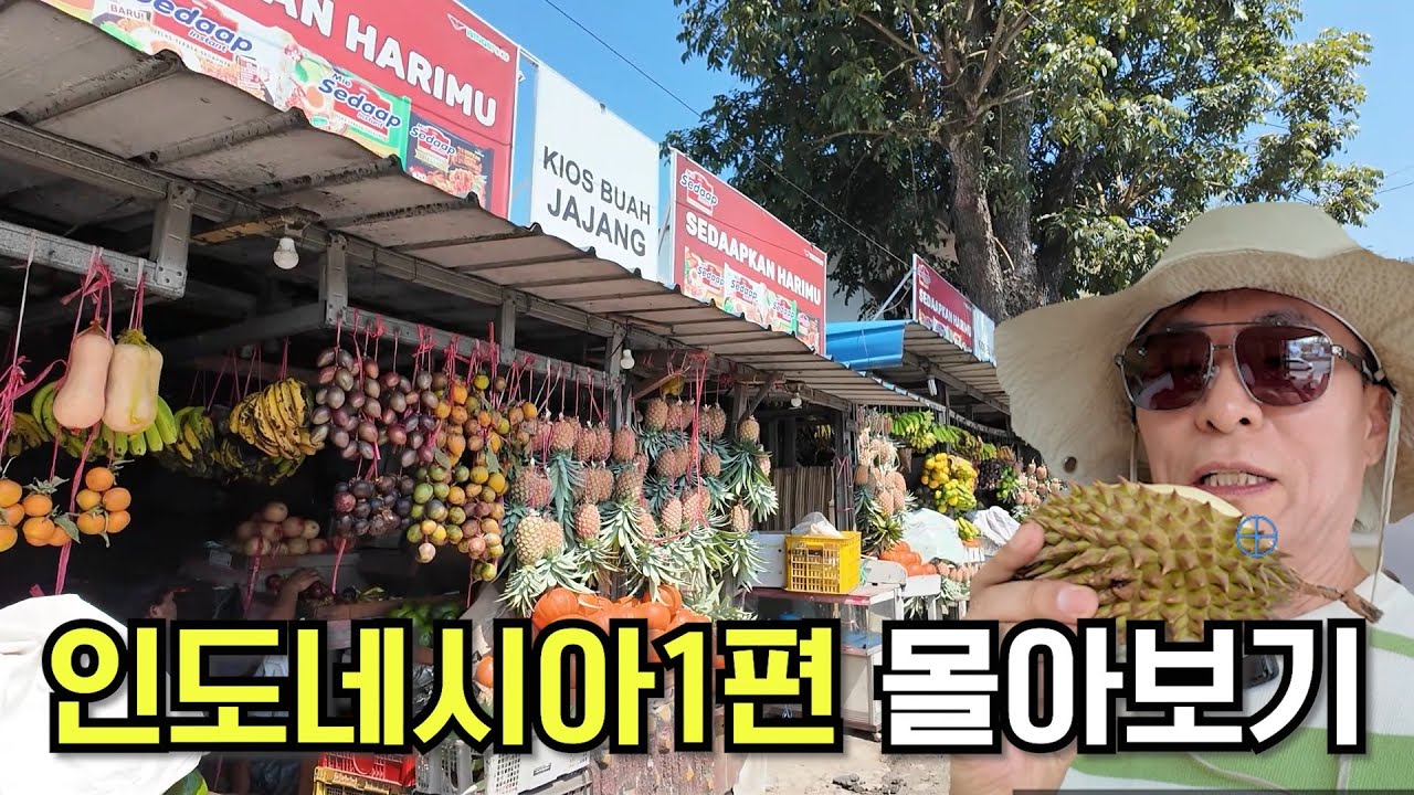 수길따라 인도네시아 몰아보기 1편(자카르타, 반둥, 족자카르타, 말랑)