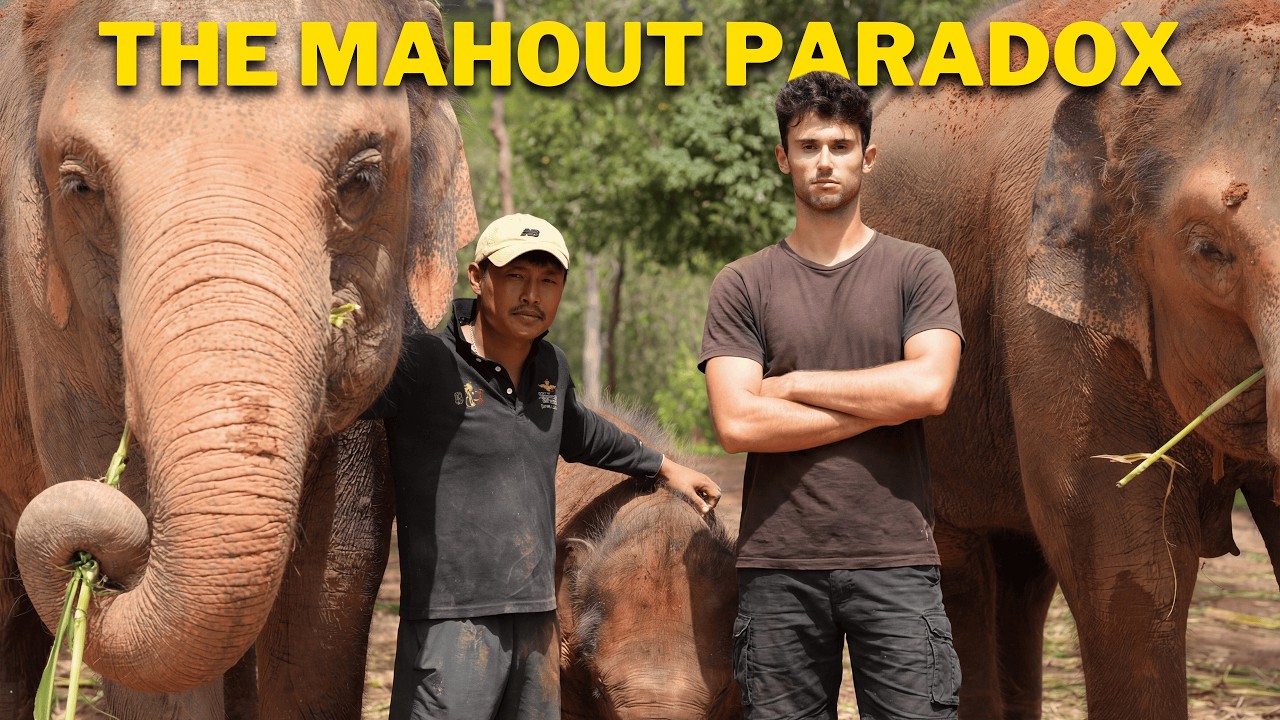 Living With Elephants in Thailand | Documentary Vlog