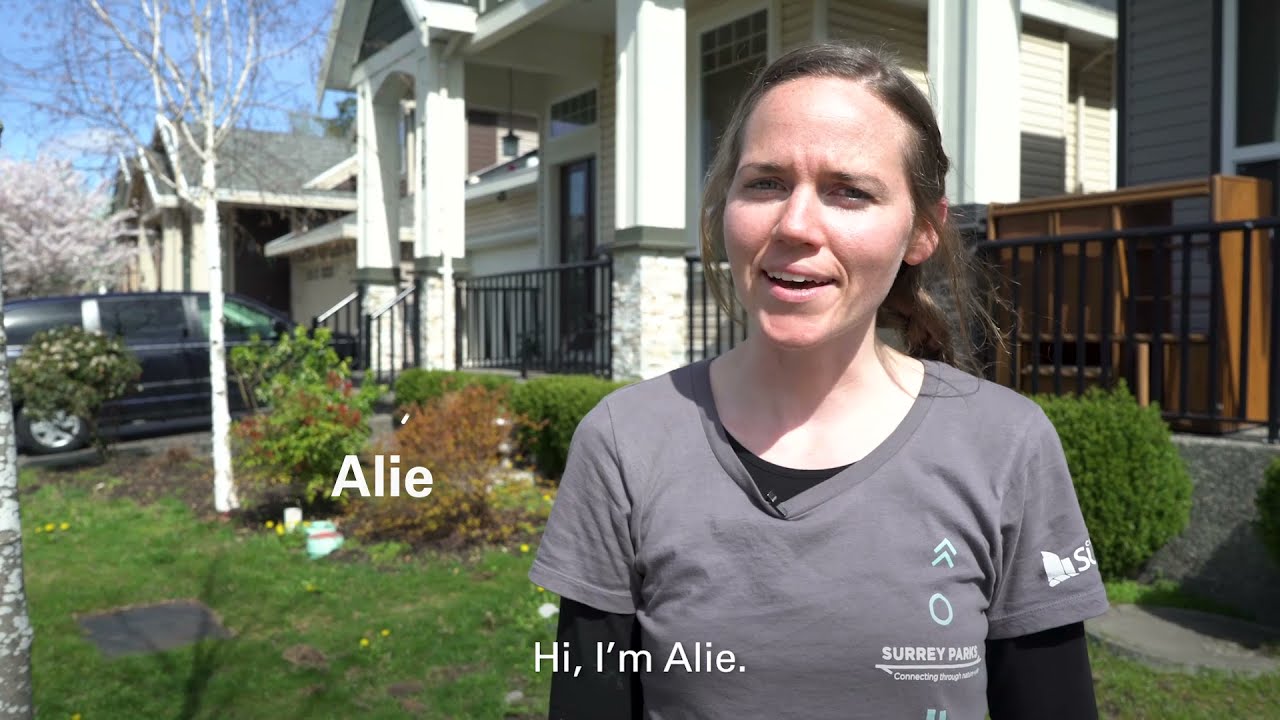 City of Surrey: Don't Prune Street Trees