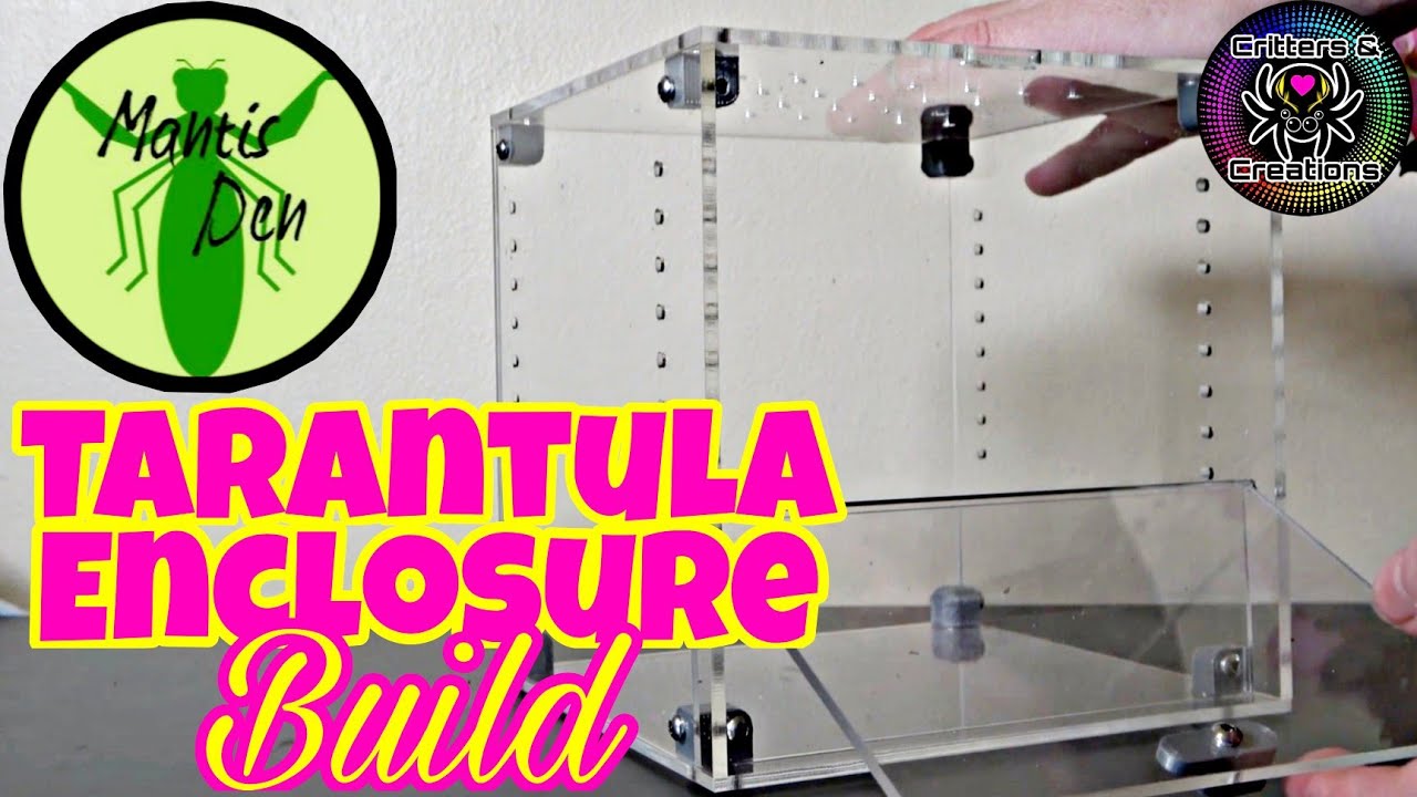 Mantis Den TARANTULA ENCLOSURE Build ~ (15x15x15cm) 🛠