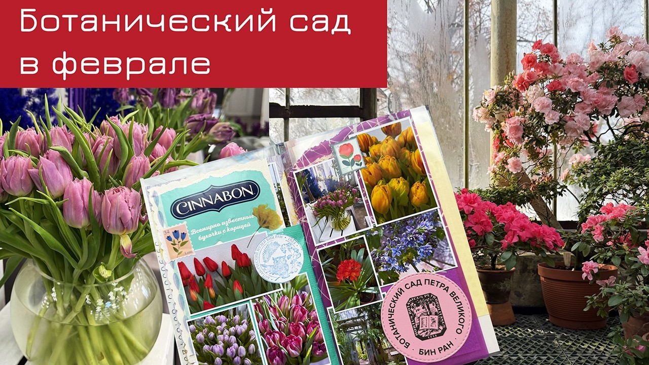 Ботанический сад в феврале