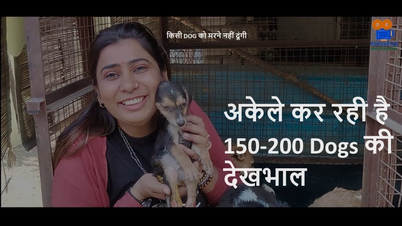 Embracing Hope: Noida's Shelter For Old & Disabled Dogs