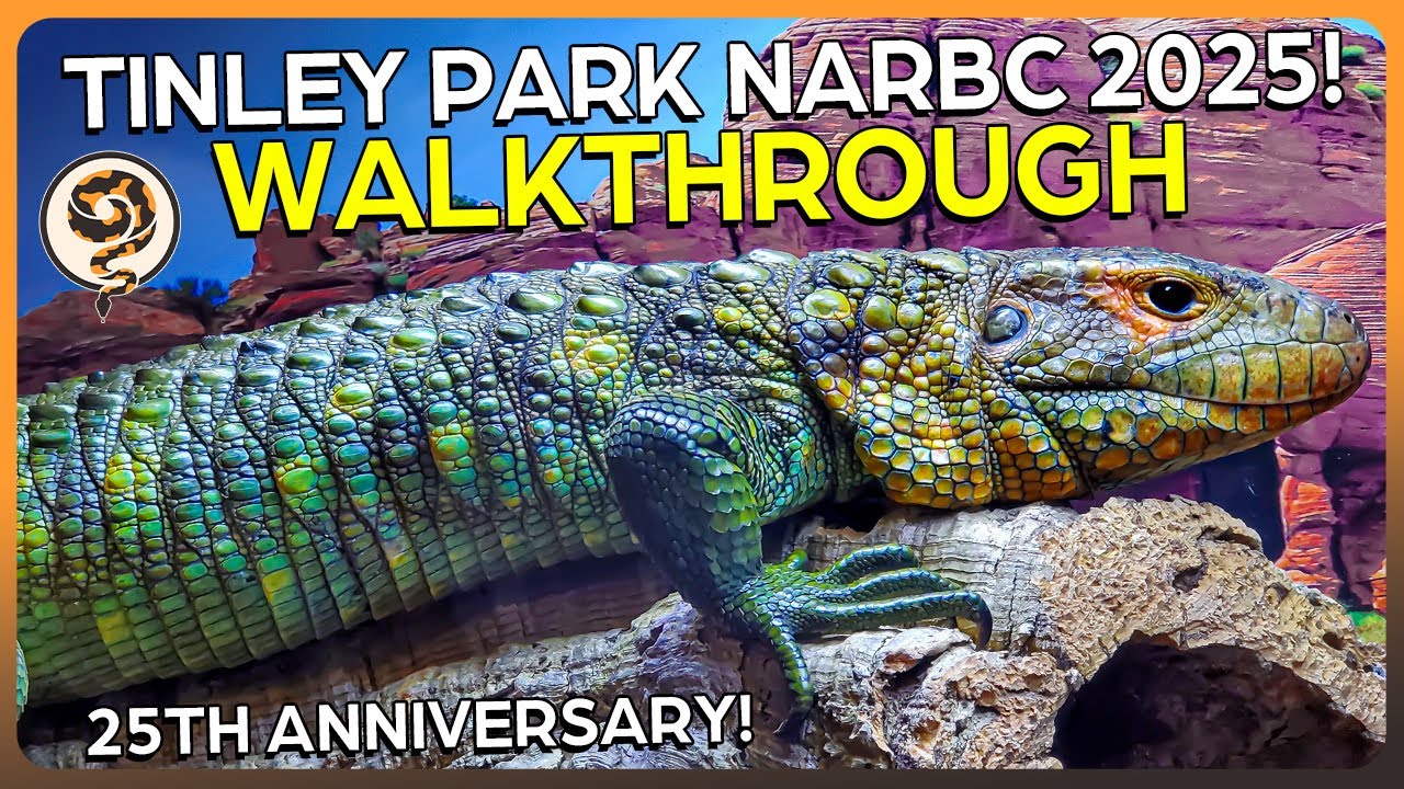 Experience the ENTIRE NARBC Tinley Park Show! - Complete Walkthrough