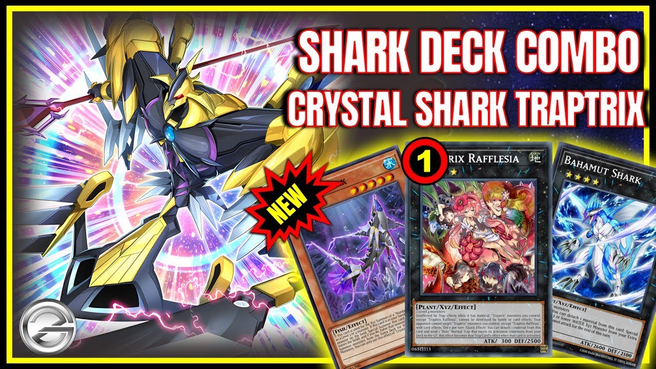 The Hidden POWER of Shark Deck Combo with Crystal Shark