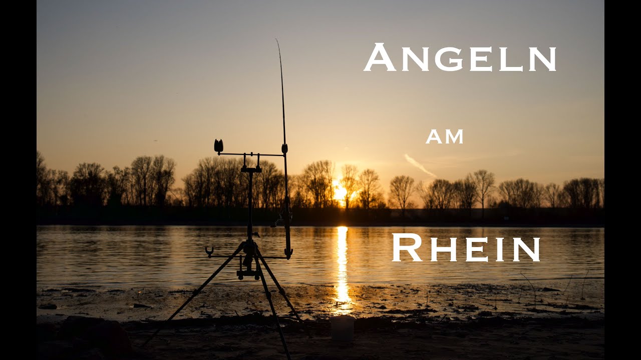 Angeln am Rhein