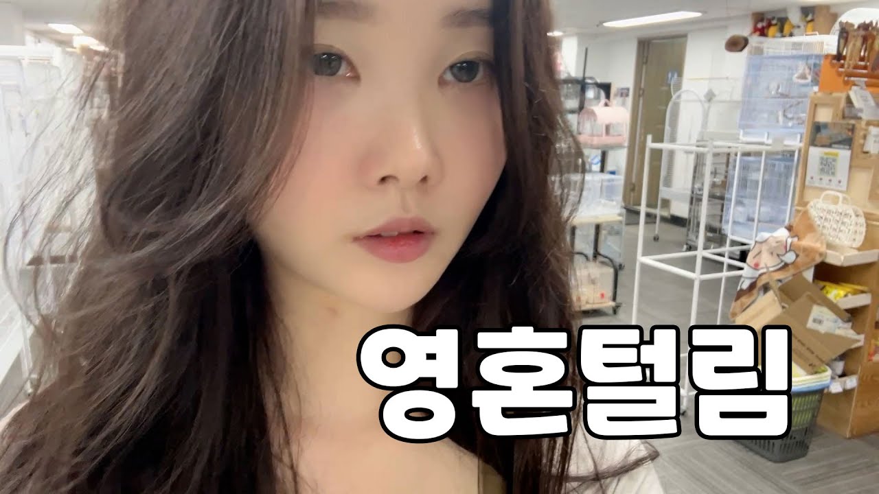 제 눈이 그렇게 영혼없어보이나요? #앵무새카페알바생