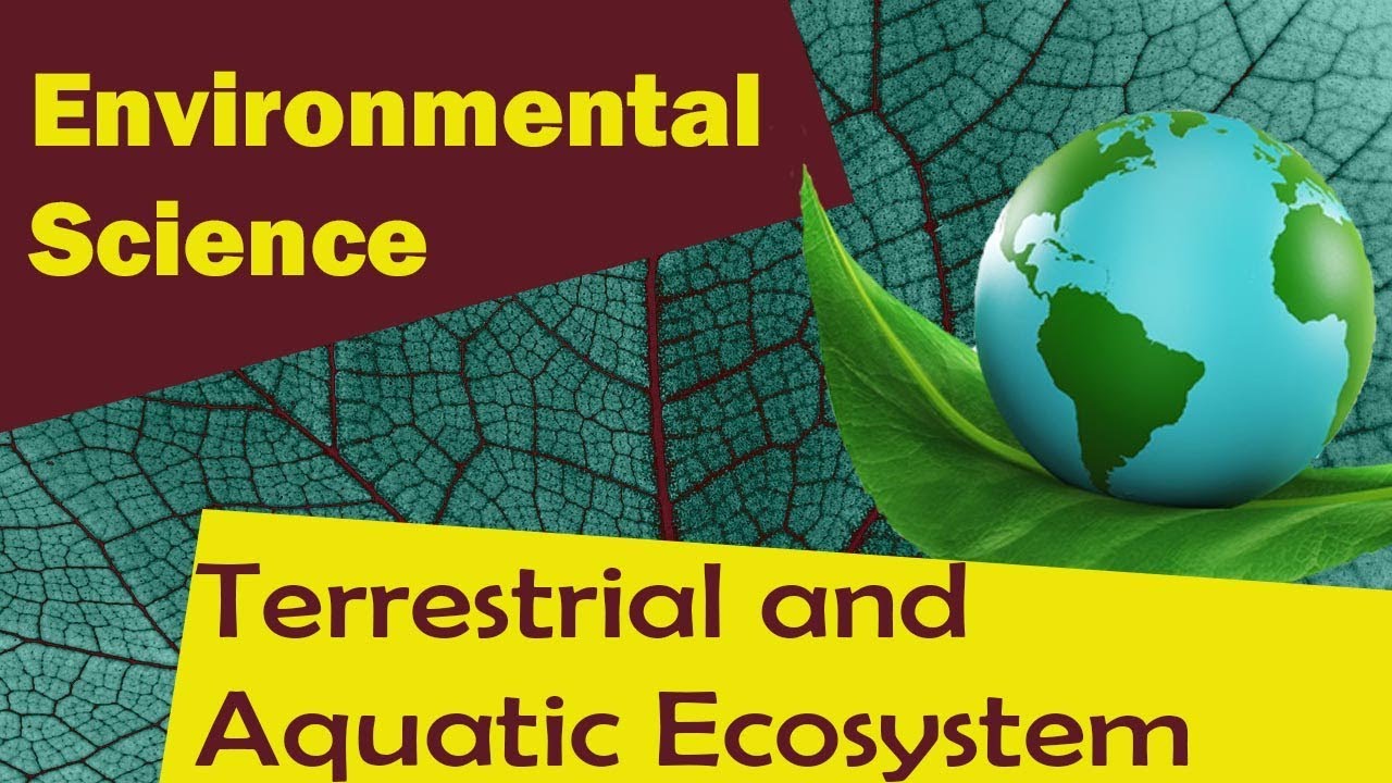 | Terrestrial and Aquatic Ecosystem | - Environmental Science