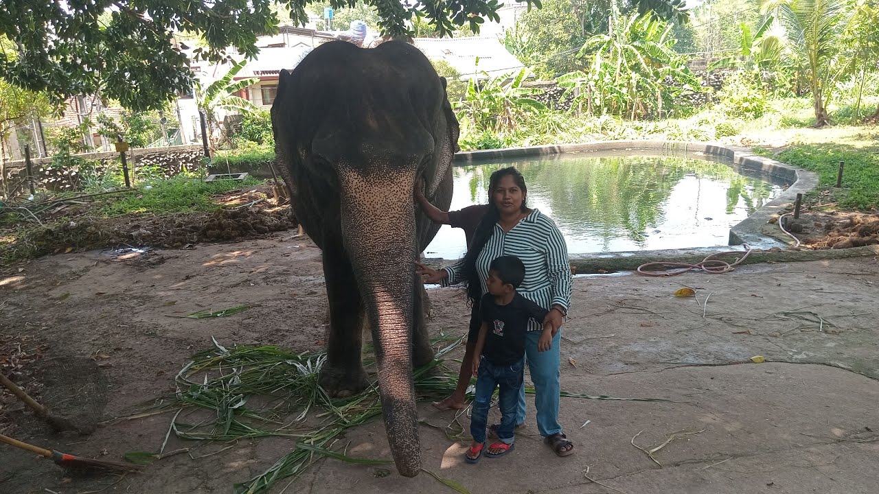 ගැම්මට කොල්ලො කෙල්ලො ටික ඉක්මනට එන්න මම ආවා.....😉