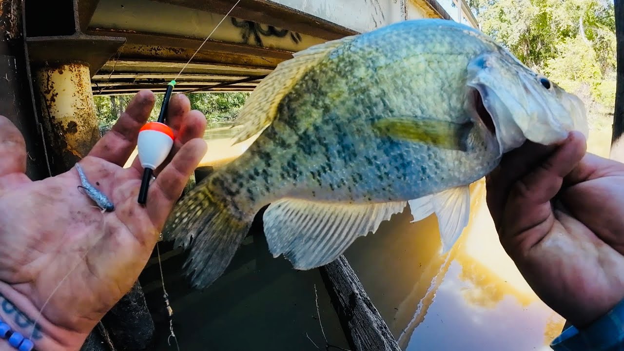 INSANE CREEK CRAPPIE FISHING FROM THE BANK WITH JIG & BOBBER‼️ OCTOBER 2024 🍁