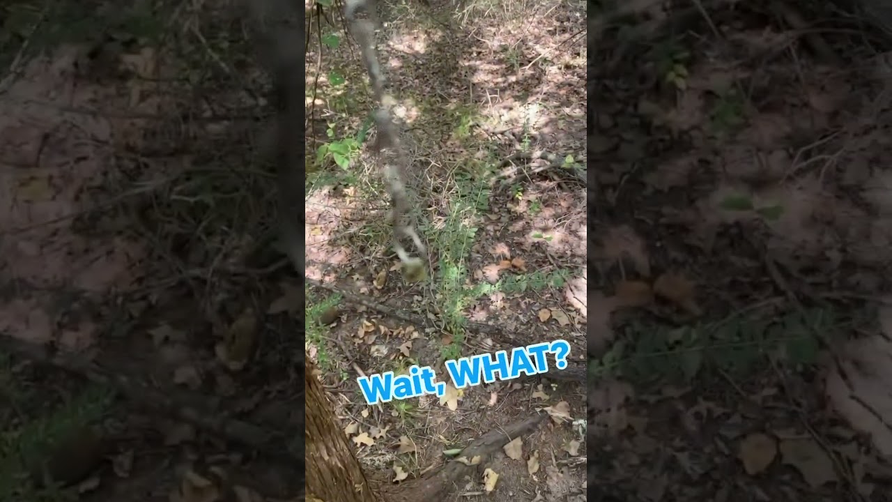 #Geocache of the Week - You Make The Chain