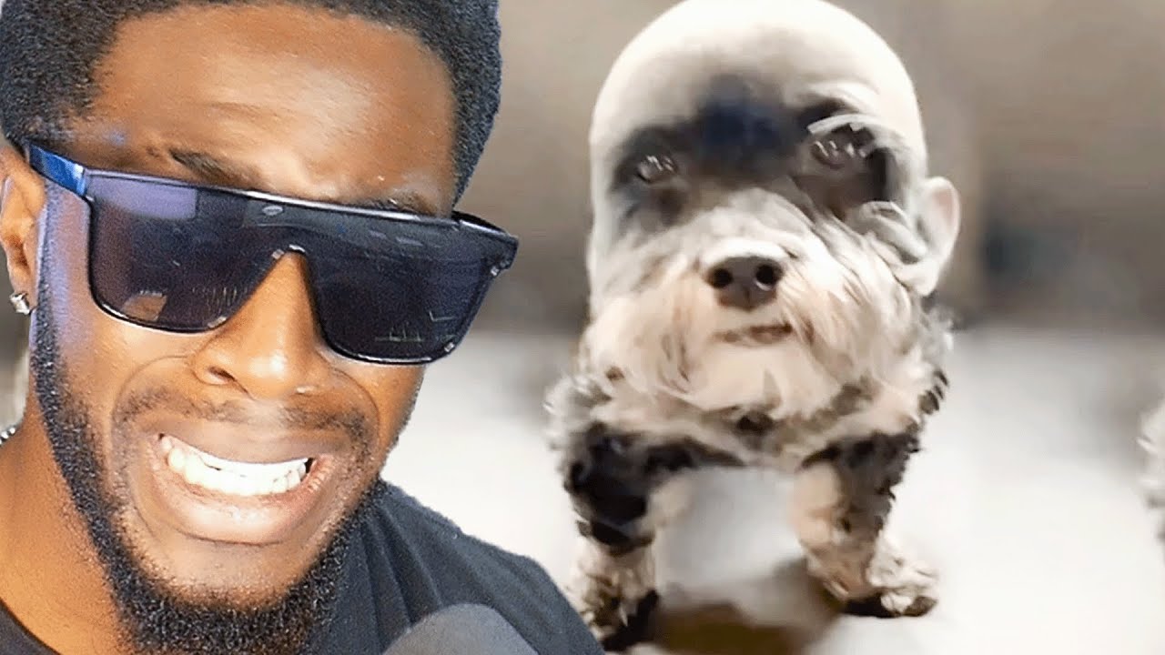 If I Laugh TWICE the video ends.