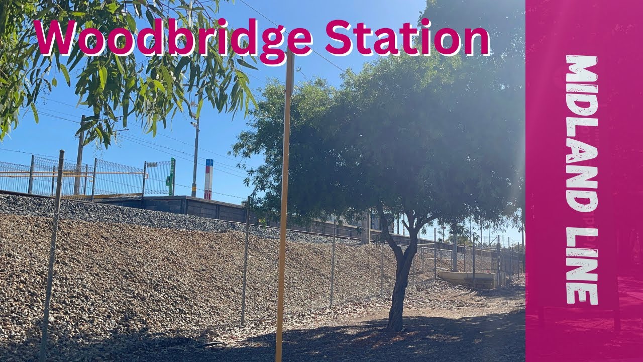 Trains at Woodbridge Station