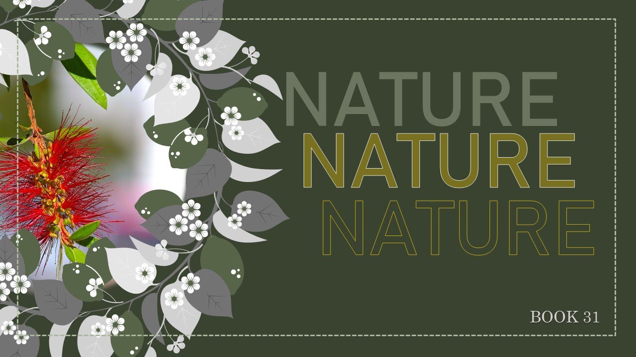 Nature Album 31