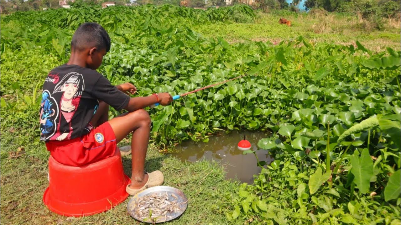 Fishing video || Nice to see the traditional little boy fishing in the canal using fishing rod's