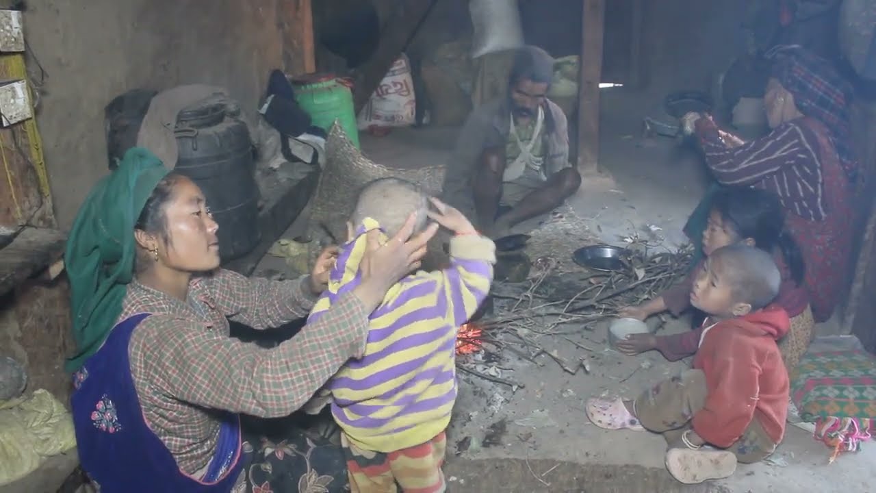 Myvillage official videos EP 234 || Traditional village life || Primitive technology